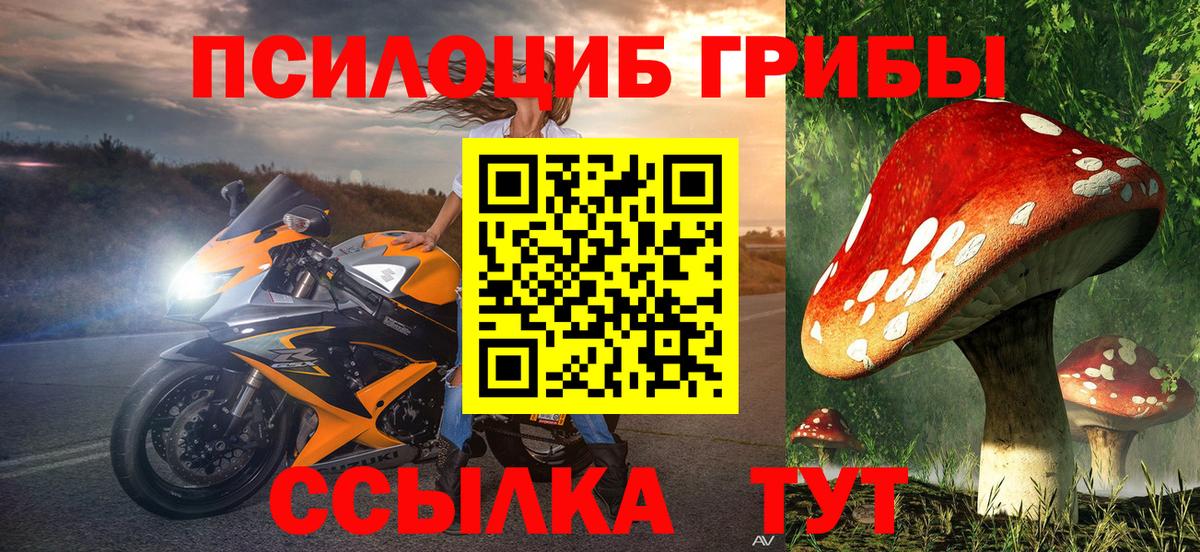 что такое   Вход с VPN  Наро-Фоминск  Псилоцибиновые грибы GOLDEN TEACHER 